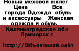 Новый меховой жилет › Цена ­ 14 000 - Все города Одежда, обувь и аксессуары » Женская одежда и обувь   . Калининградская обл.,Приморск г.